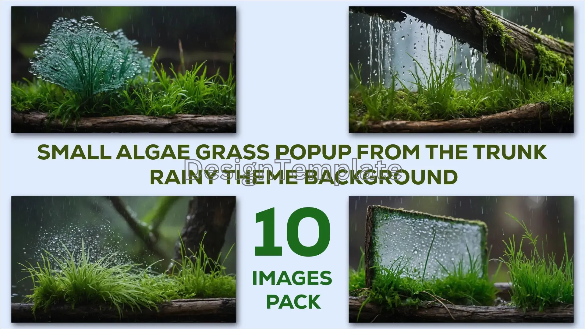 Algae and Grass Pop-Up Nature Textures Collection Rainy Trunk Design Pack